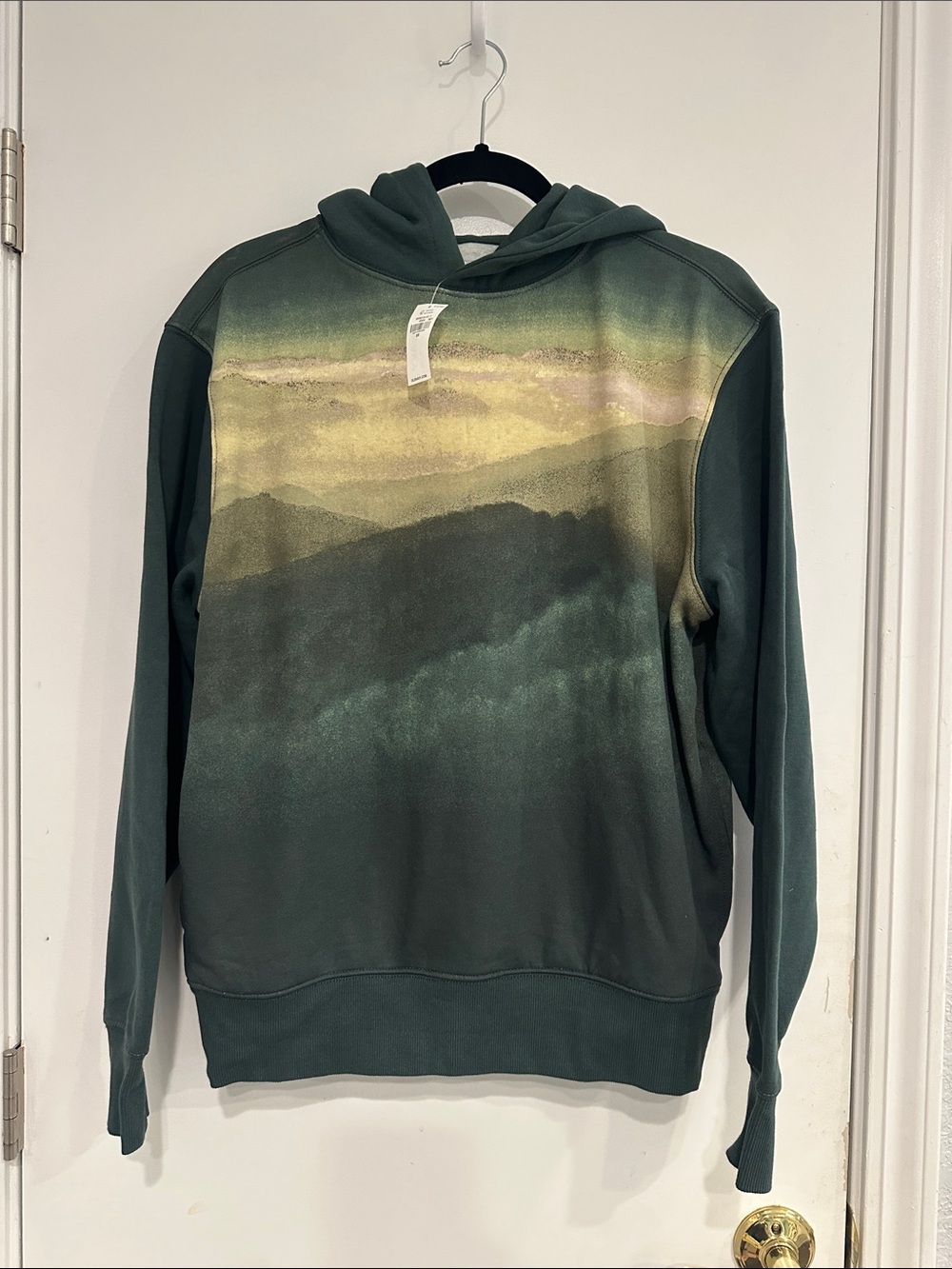 NWT Old Navy Men's Green Gradient Mountain-Print Hoodie Sweatshirt, size XS